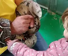 meaning-dream-snakes-biting-attacking-my-little-child-daughter