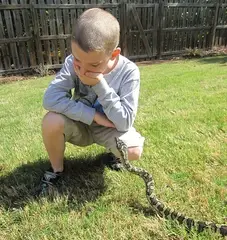 significado de sonar serpiente muerde a mi hijo