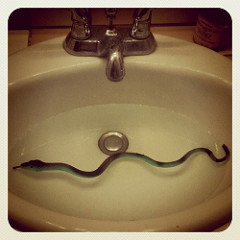 meaning-dream-snakes-vipers-bathtub-restroom-bathroom