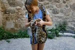 meaning-dream-snake-viper-biting-attacking-little-girl