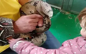 meaning-dream-snake-biting-attacking-little-child-daughter