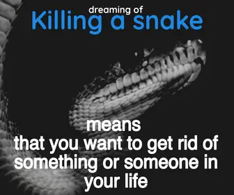 dream of killing a viper means that your want to get rid of someone in your life
