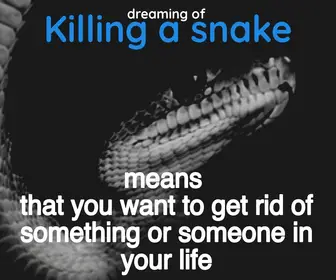 Killing Snakes Dream Meaning Javidreamsmeanings