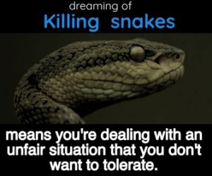 Killing Snakes Dream Meaning » 2023