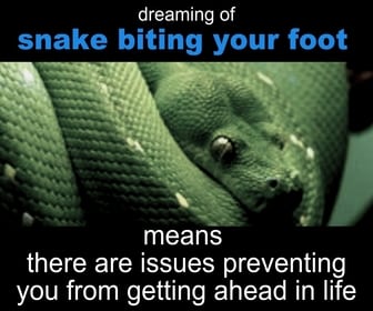 dreaming-that-viper-bitting-your-foot-means-you-have-issues-getting-ahead-in-life