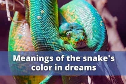 dream meaning of the snake's color
