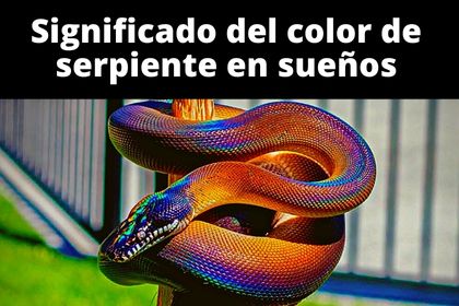 que significa el color de una serpiente en los sueños?